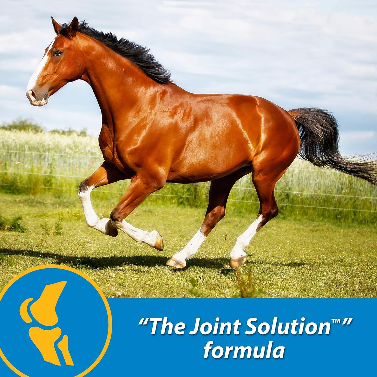 Farnam Fluidflex Glucosamine Joint Supplement for Horses, 32 oz.