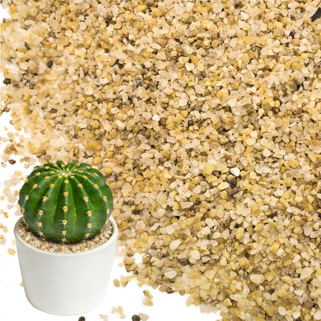 8LB 1-2mm Horticultural Sand for Succulents and Cactus Soil