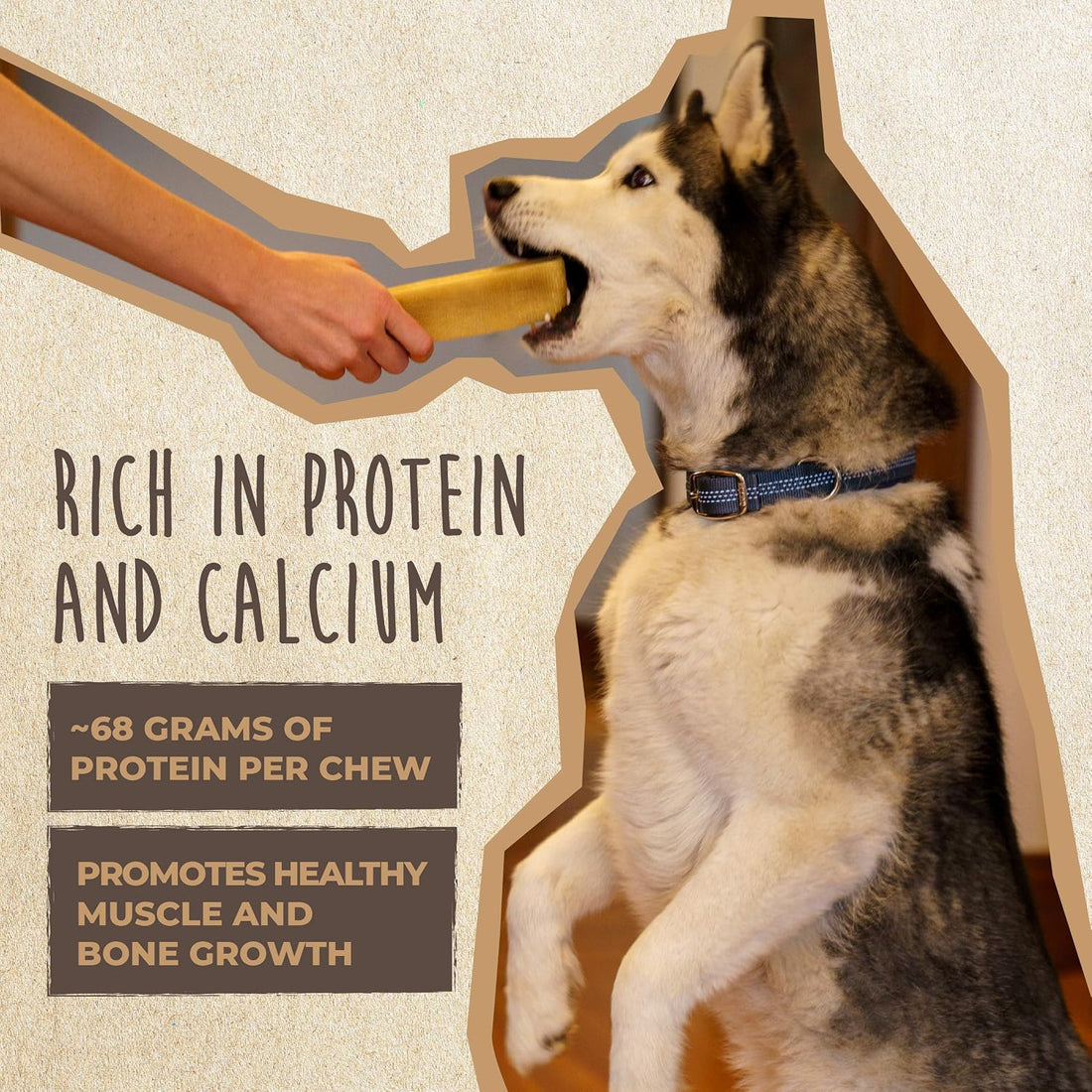 Mighty Paw Yak Cheese Chews for Dogs, All-Natural Himalayan, Medium