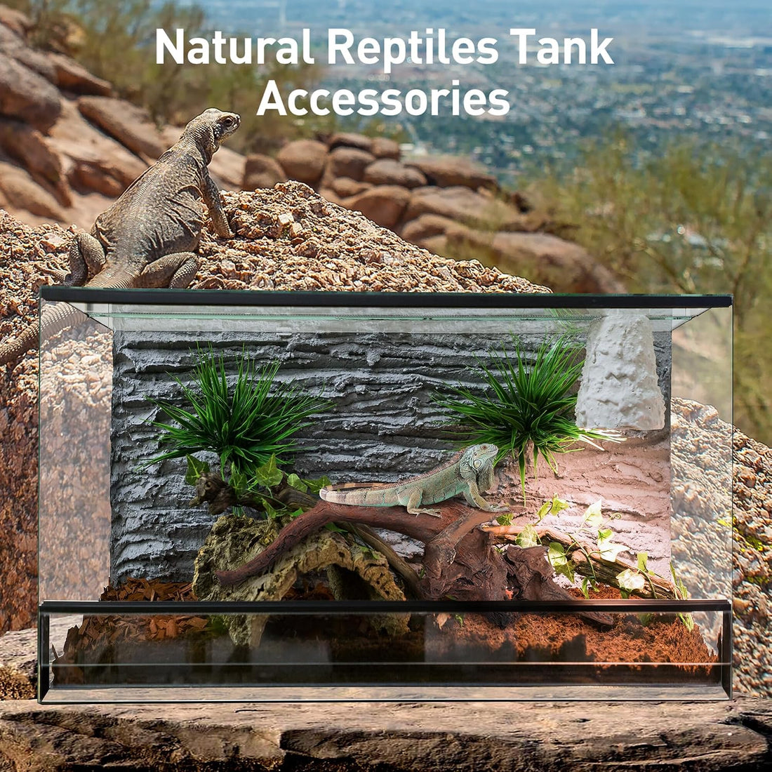 WDEFUN 3 PCS Natural Driftwood for Aquarium Decor Fish Tank