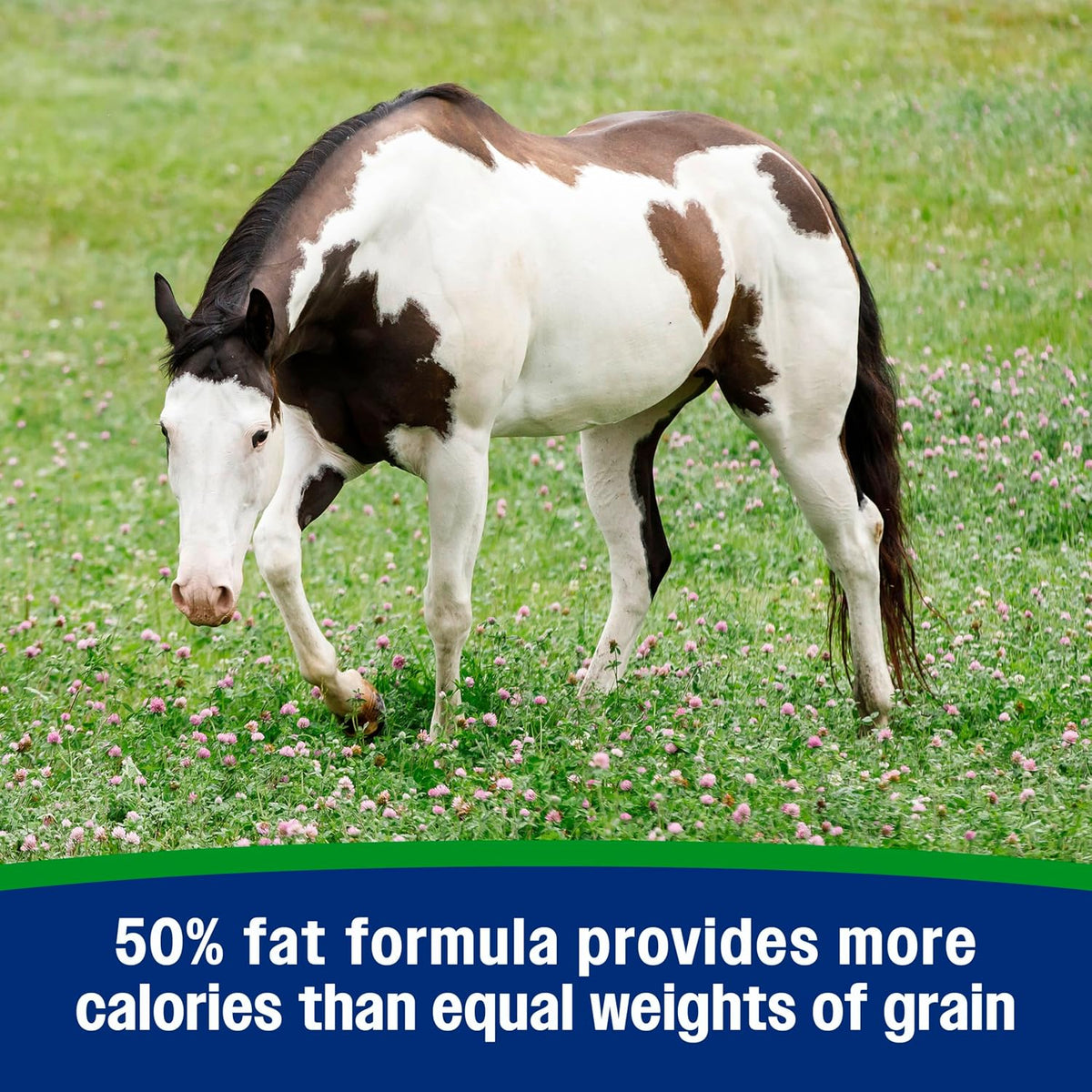 Farnam Weight Builder Weight Support Supplement for Horses