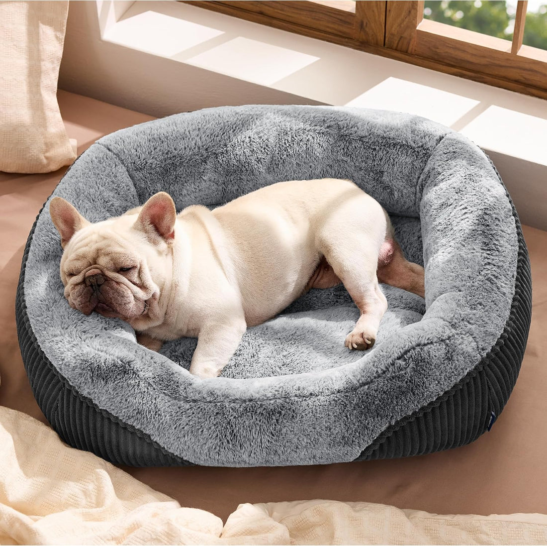 Bedsure Washable Dog Bed Small Medium Size Dog Rectangle Pet