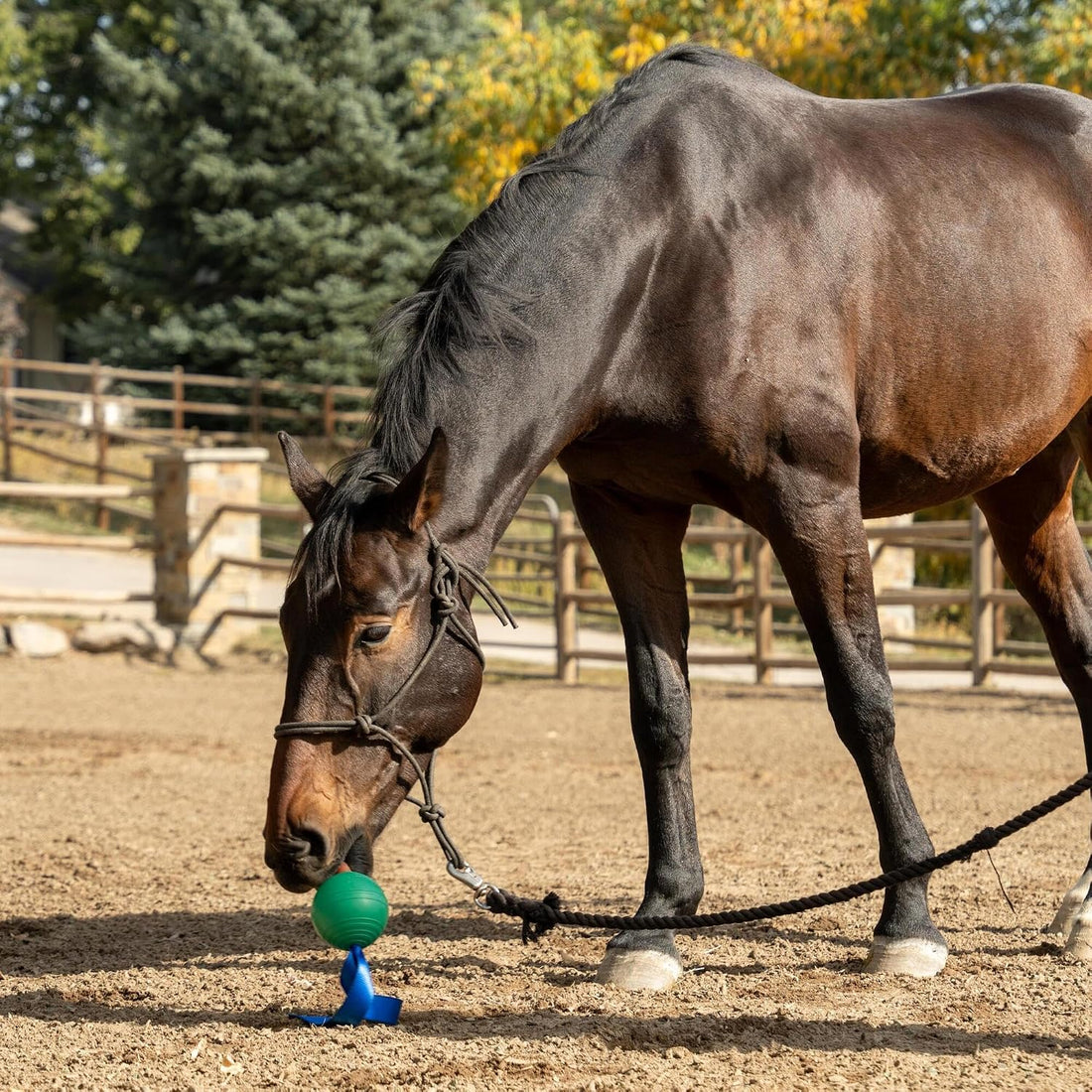 KoreFlex Ball & Tail - Durable Horse Toy & Equine Enrichment Ball