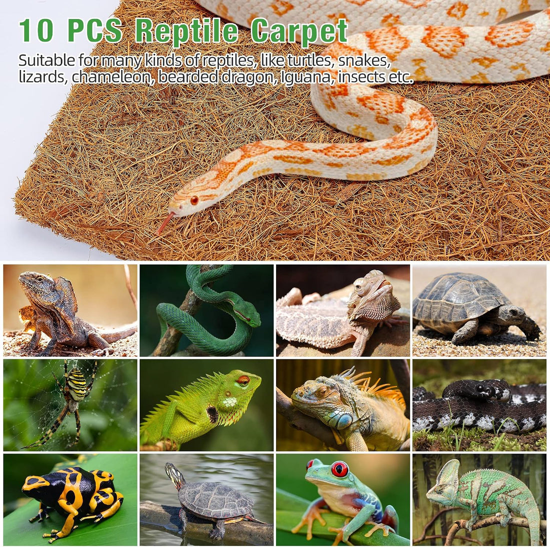 ZeeDix 10 Pcs Reptile Carpet 12x12 Inch Coconut Fiber Mat for Tank
