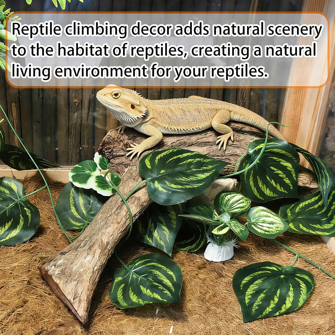 Tfwadmx Reptile Branches, Natural Reptile Corner Climbing Branch