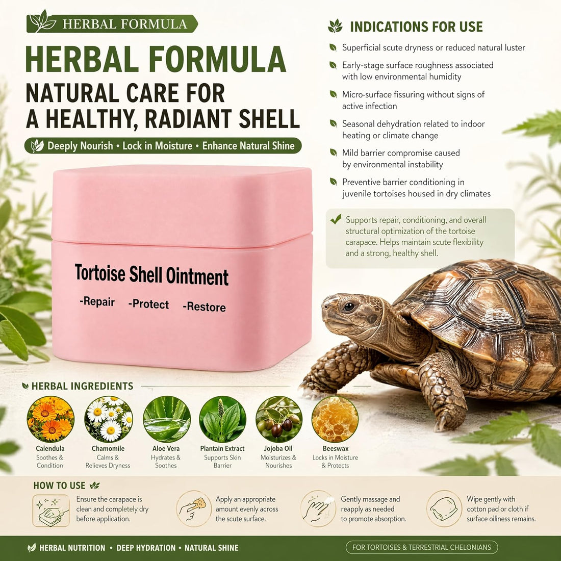 Tortoise Shell Conditioner Balm