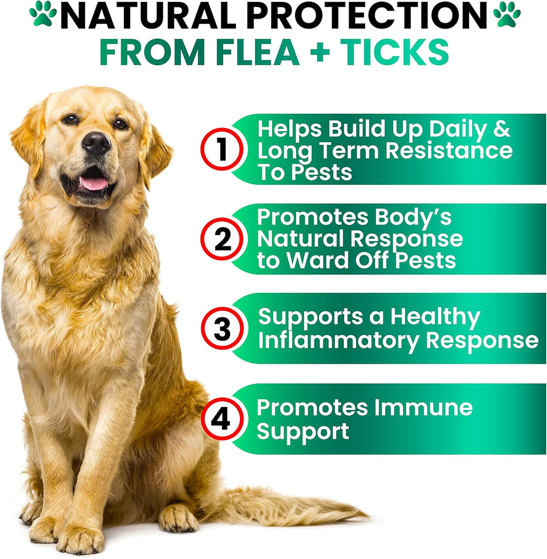 Flea and Tick Prevention for Dogs Chewables