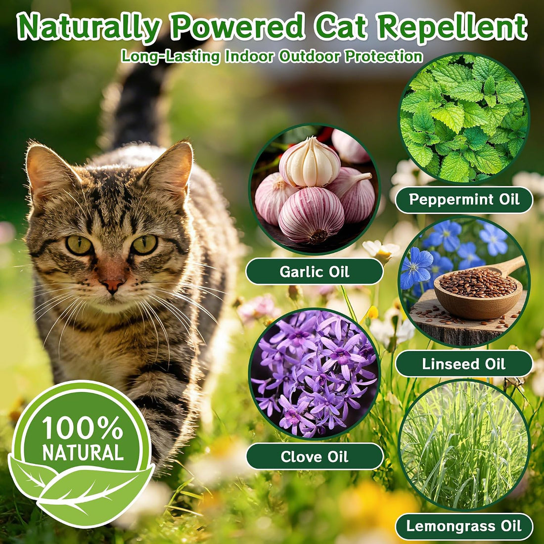 Cijoaui 12 Pcs Natural Cat Deterrent Balls - Peppermint Oil Scent
