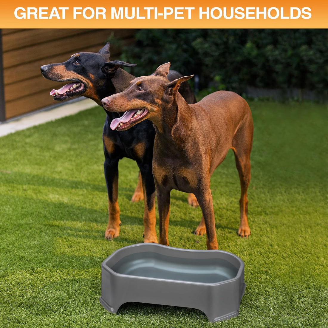Neater Pet Brands Extra Large Water Bowl for Dogs