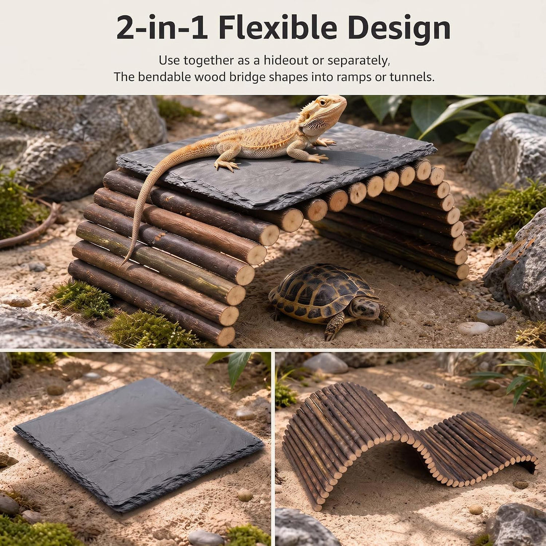 Bearded Dragon Tank Accessories