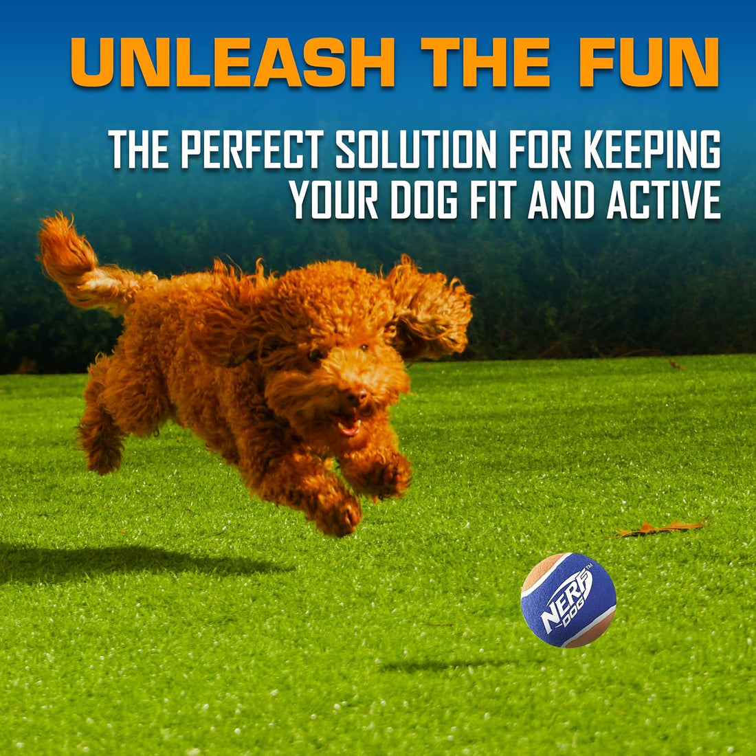 Nerf Dog Tennis Ball Blaster Dog Toy Gift Set