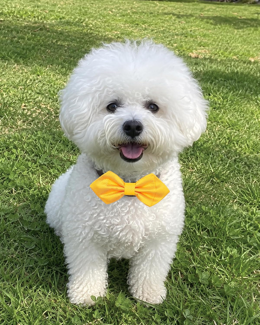 PET SHOW Large Dogs Collar Attachment Bow Ties Embellishment Girls
