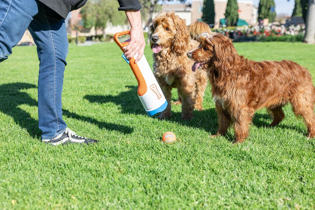 Chuckit! Cannon 16S Dog Ball Launcher, 16 Inch Size