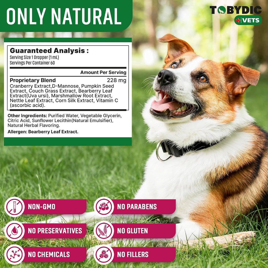 Cat & Dog Natural UTI Support & Urinary Tract Infection Treatment