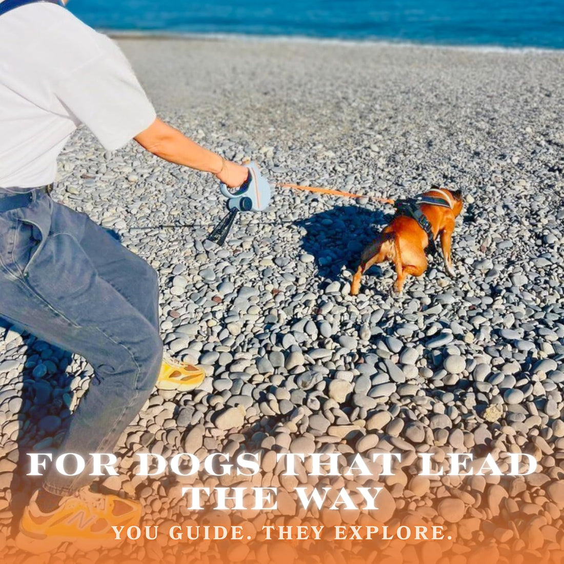 Snuggle Paws Heavy Duty Retractable Dog Leash 16.4 ft All-in-One