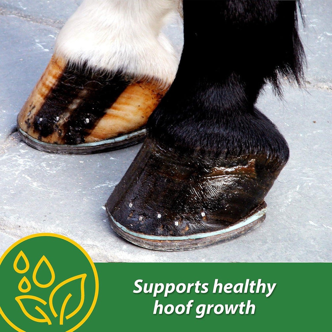 Farnam HB 15 Hoof Supplement, Supports Healthy hoof Growth