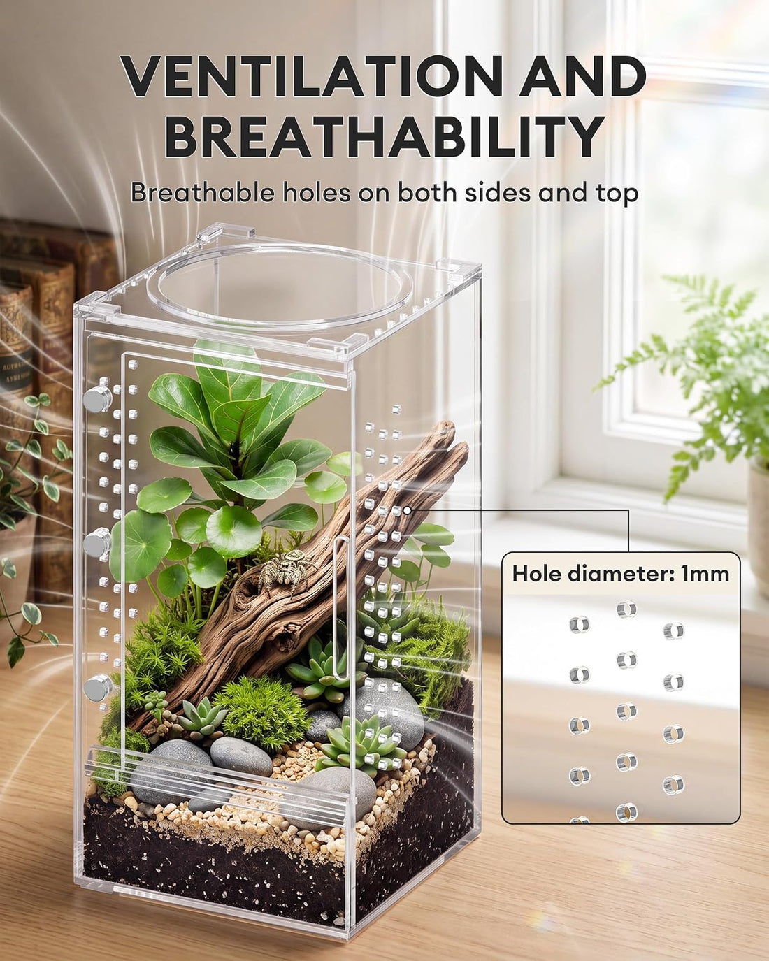Jumping Spider Enclosure,Magnetic Doors All-Side Ventilation