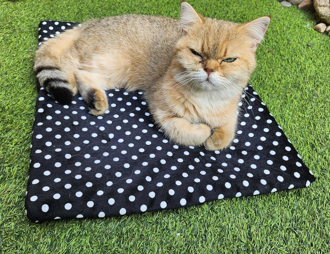 USB Heating Warmer Pad Bed for Cat, Small Dog and Pet, 15"X19"