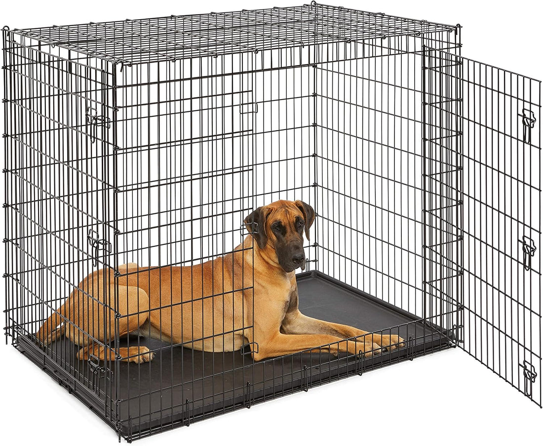 Solutions by Midwest 54-Inch Double Door Crate, Giant Breed Dogs