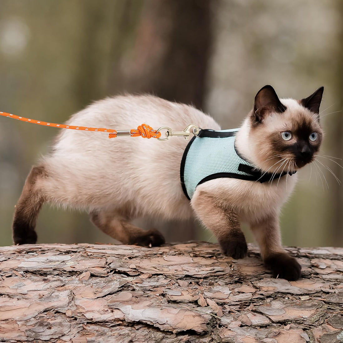 Cat Leash, 15 ft & 30 ft Reflective Long Pet Leash for Outdoor Use