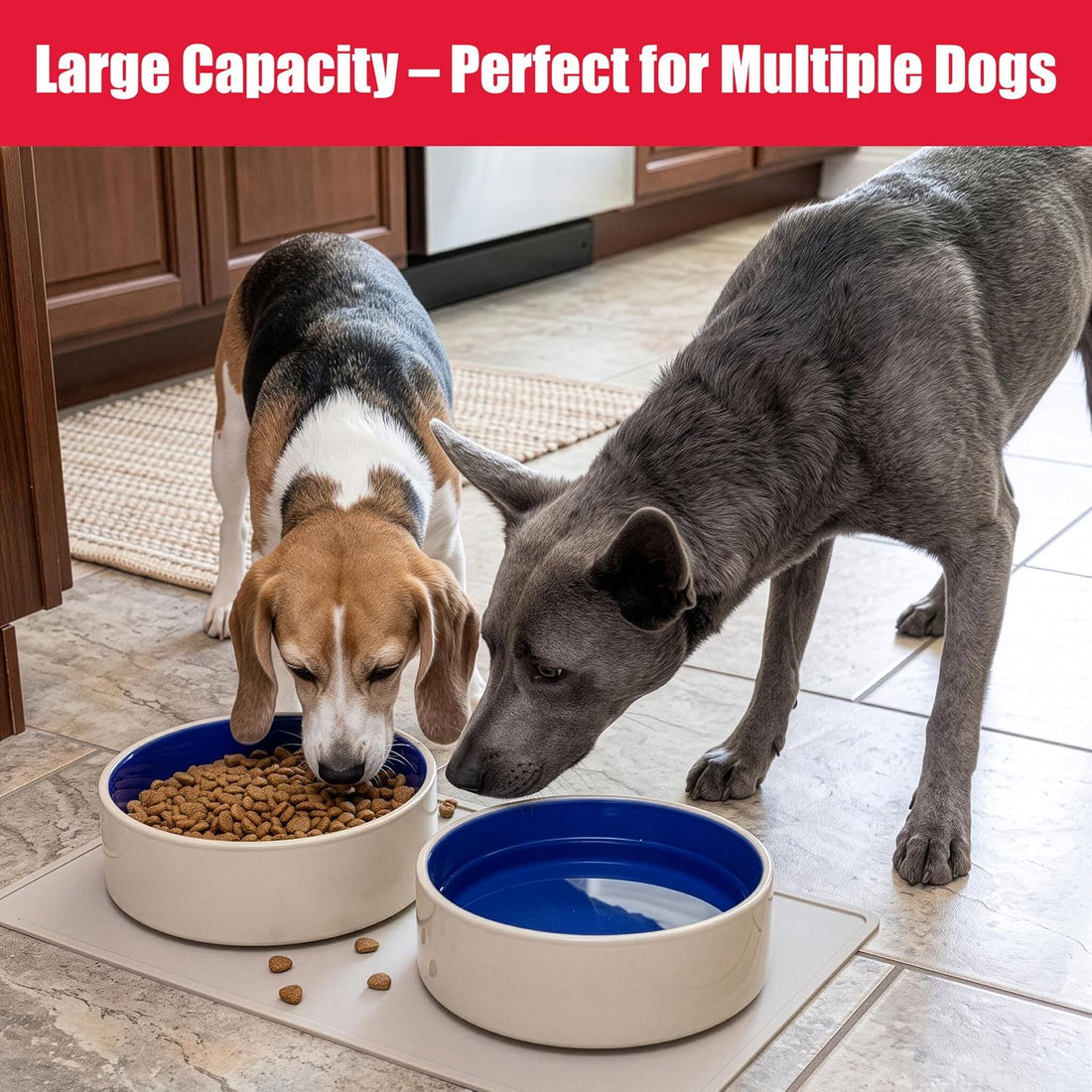 SPOT Standard Crock Dish - Heavy Duty, Non-Slip