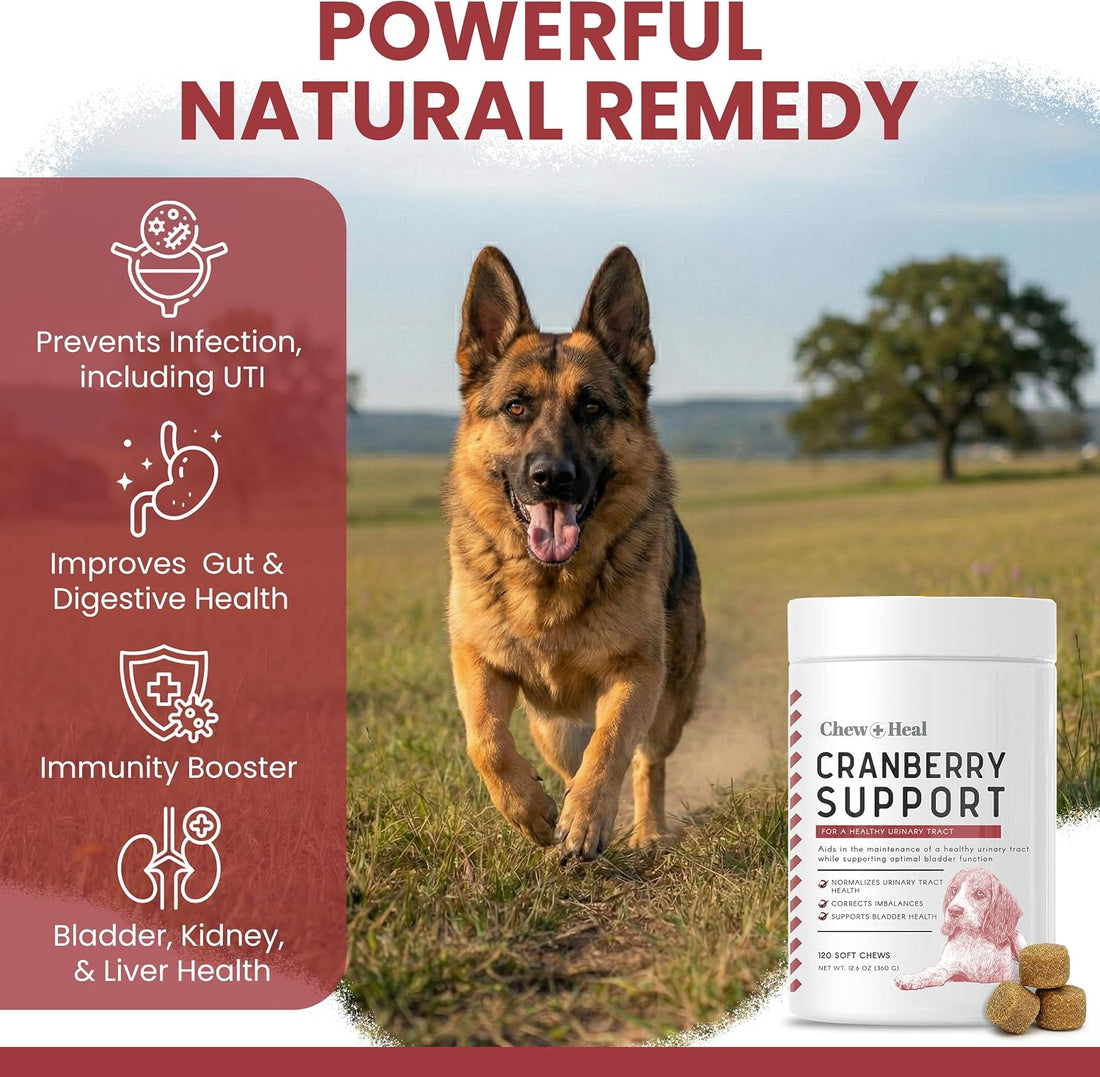 Dog UTI Treatment Cranberry Supplement for Dogs, 120 Soft Chews