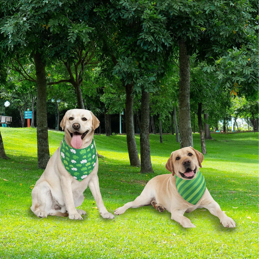 Halloween Dog Bandana Large -1 Pack, Reversible Dog Scarf