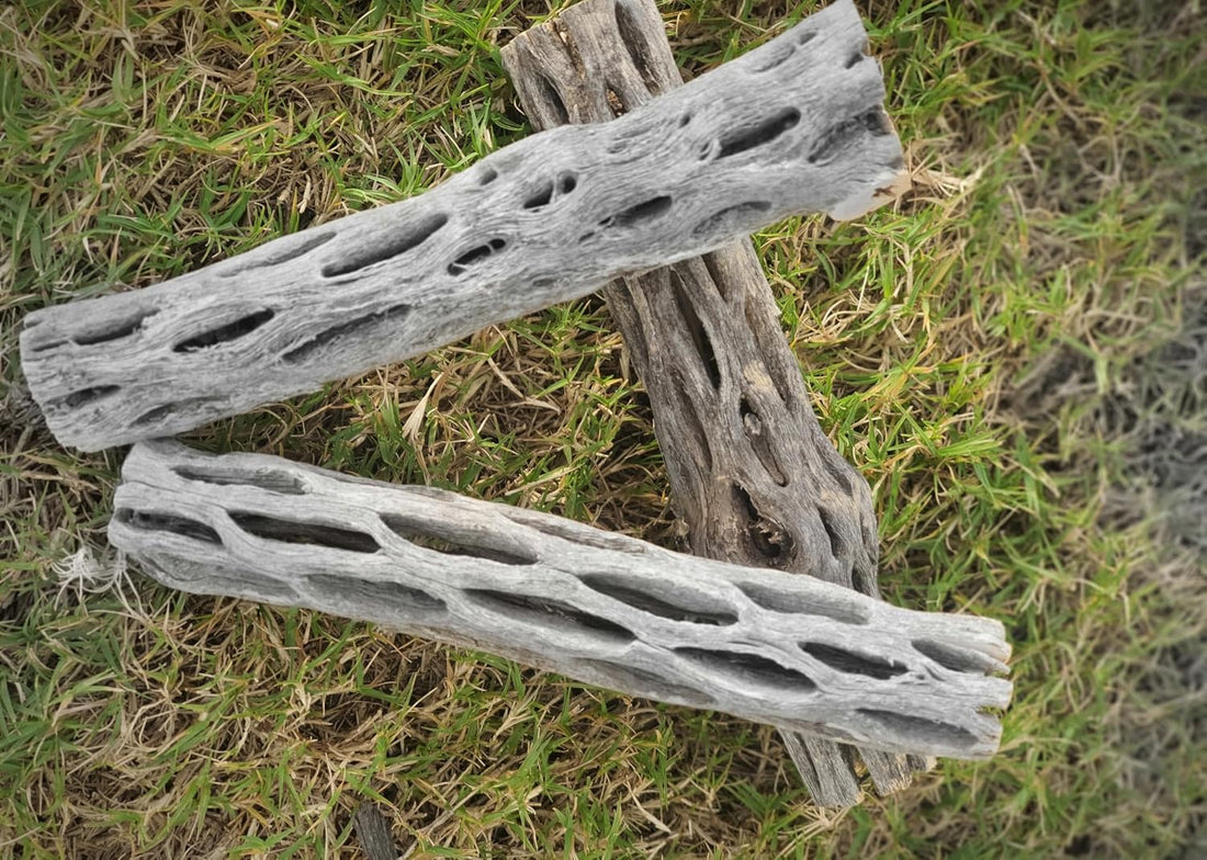 Hexagrowth Cholla Wood Shrimp Hideout, Habitat for Fish, Toy for Gecko
