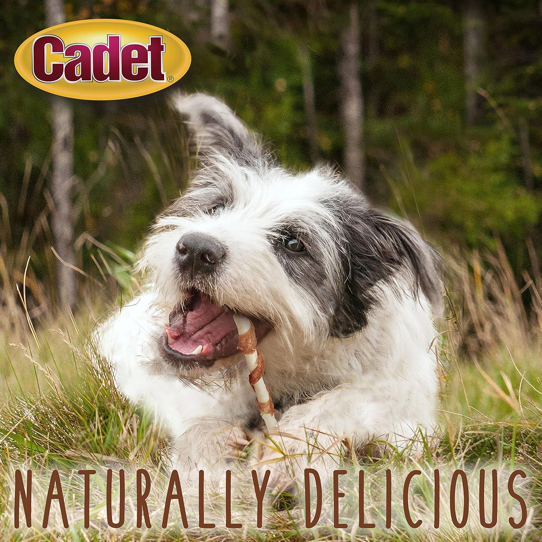 Cadet Gourmet 5-Inch Beef Hide Twist Chew Sticks