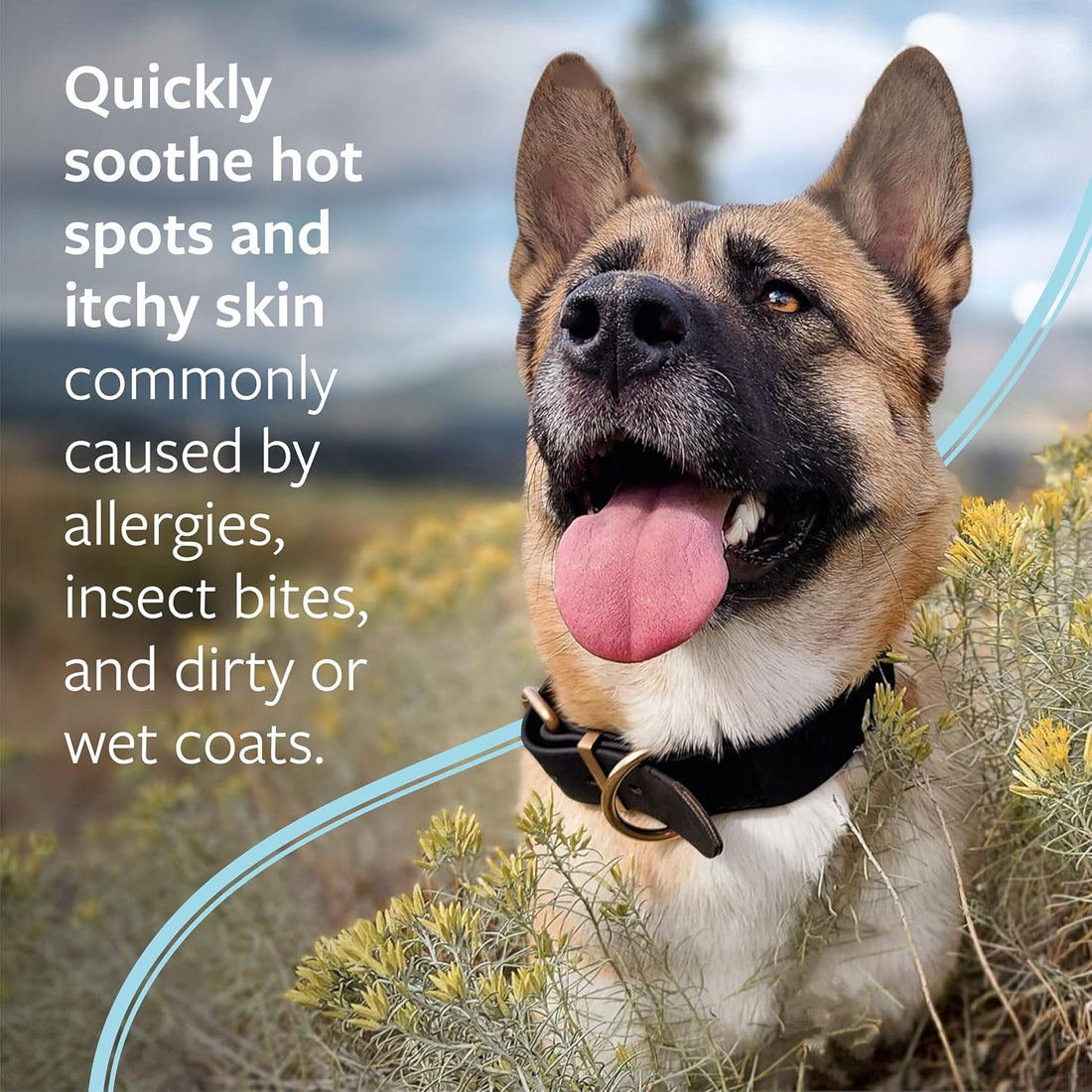 Veterinary Formula Clinical Care Hot Spot & Itch Spray, 16 oz, 2-Pack