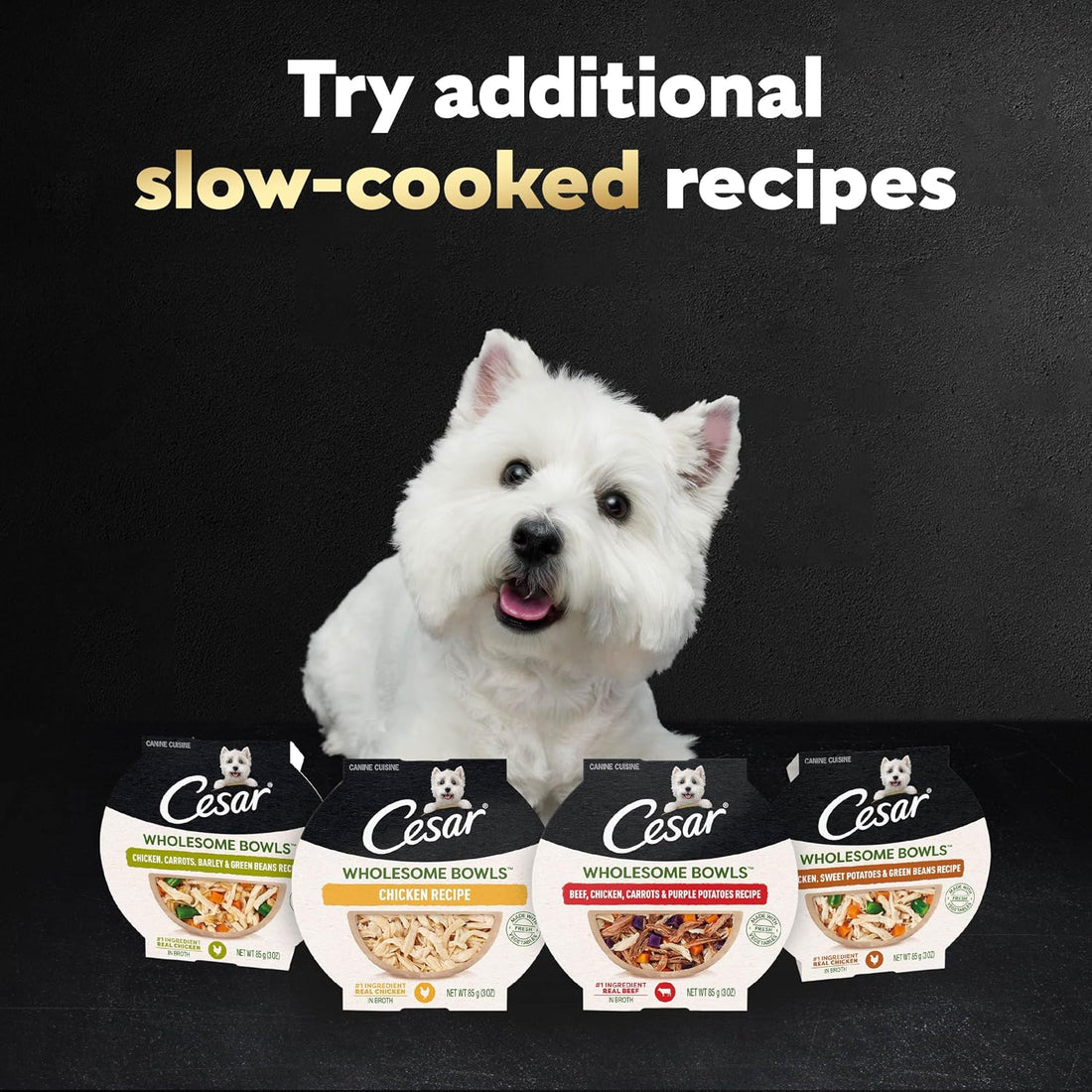 Cesar Wholesome Bowls Adult Wet Dog Food, Chicken, Recipe