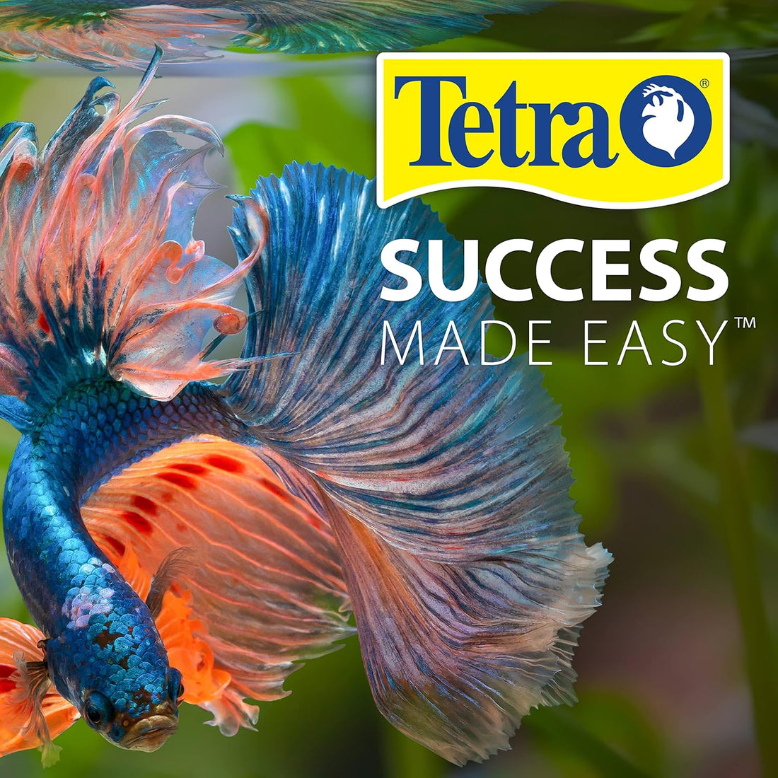 Tetra No More Algae Tablets for Aquariums, 8 Count