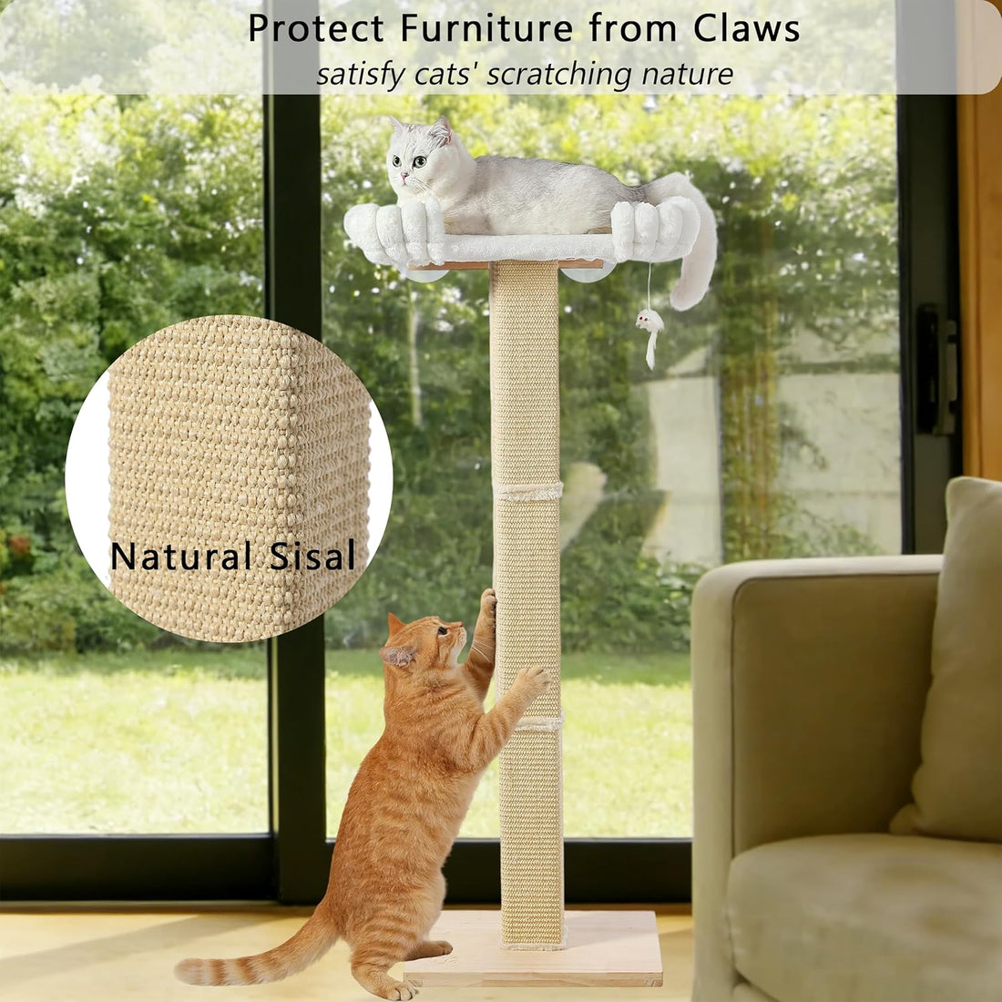 Cat Scratching Post with Large Window Perch