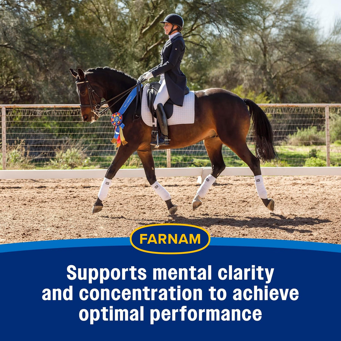 Farnam Quietex Show Calming & Focusing Paste for Horses, 30 cc Syringe