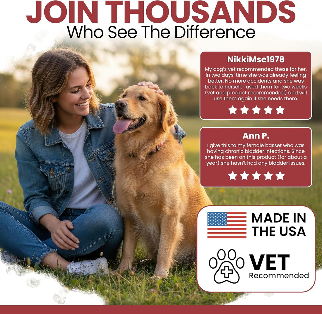 Dog UTI Treatment Cranberry Supplement for Dogs, 120 Soft Chews