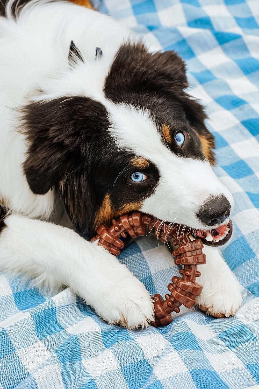 Nylabone Textured Ring Power Chew Toy for Large Dogs