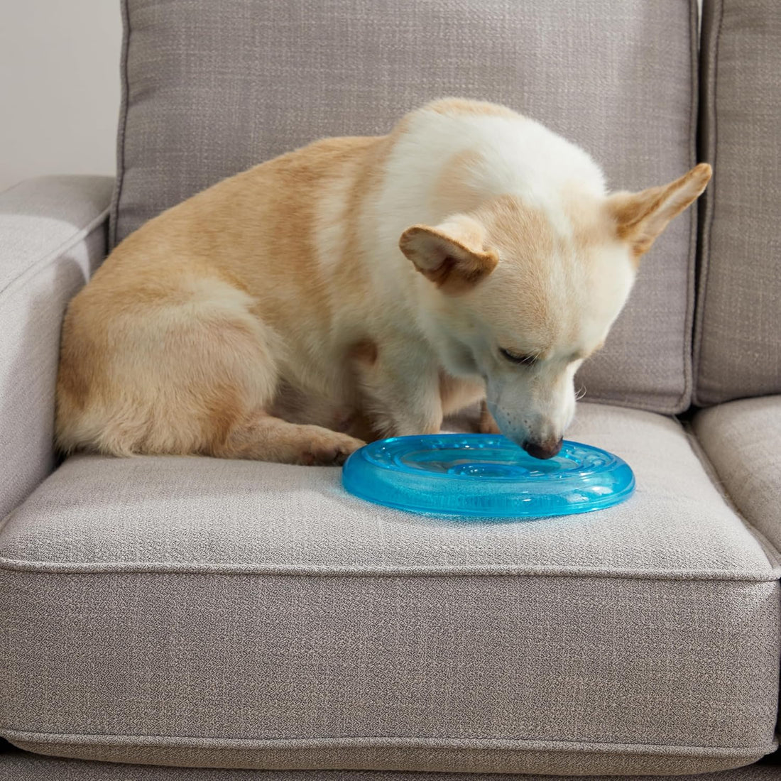 Petstages Orka Flyer Royal Blue Flying Disc Dog Fetch Toy