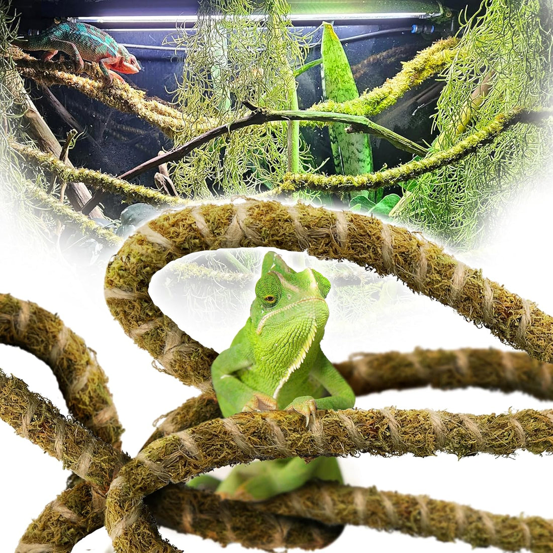 Duspro 10FT Reptile Vines for Climbing, Bendable Branch for Reptile