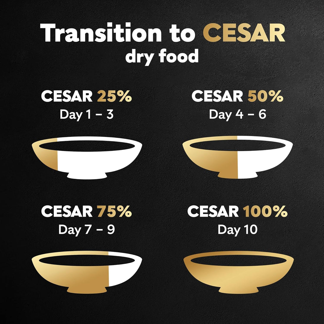 Cesar Small Breed Dry Dog Food for Small Dogs