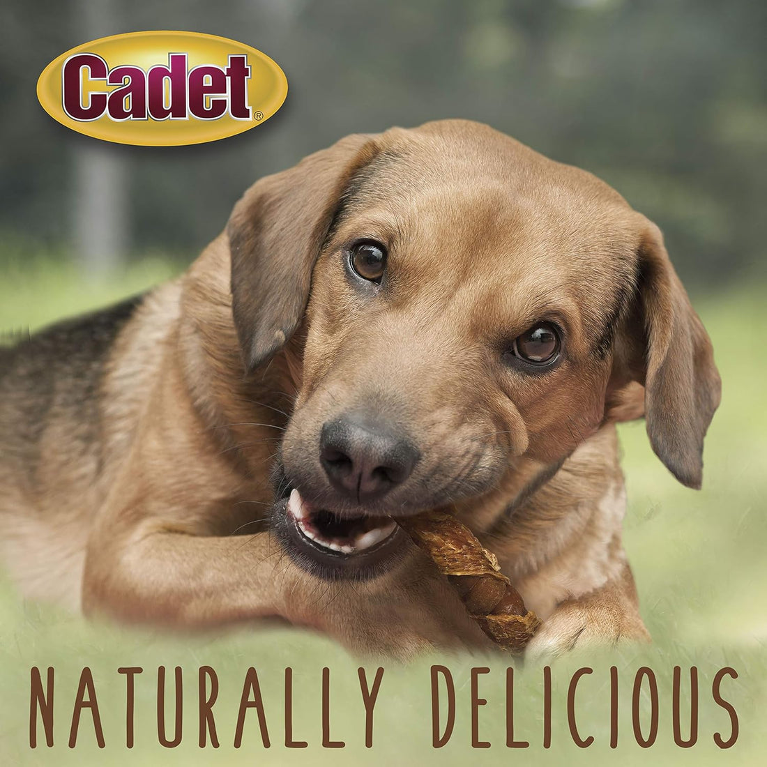 Cadet Gourmet Triple Chews Long-Lasting Pork Hide Sticks with Sweet