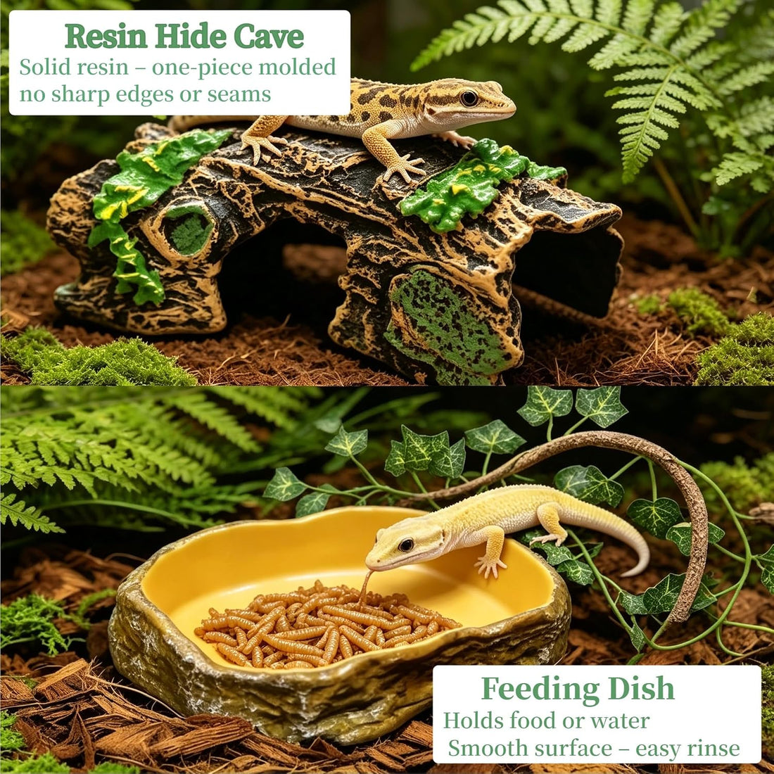 Bearded Dragon Tank Accessories, Terrarium Decor, Ball Python