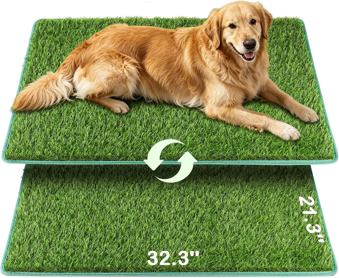 Artificial Grass for Dogs Potty Training