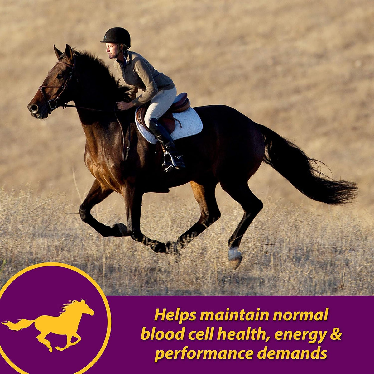 Farnam Horse Health Red Cell