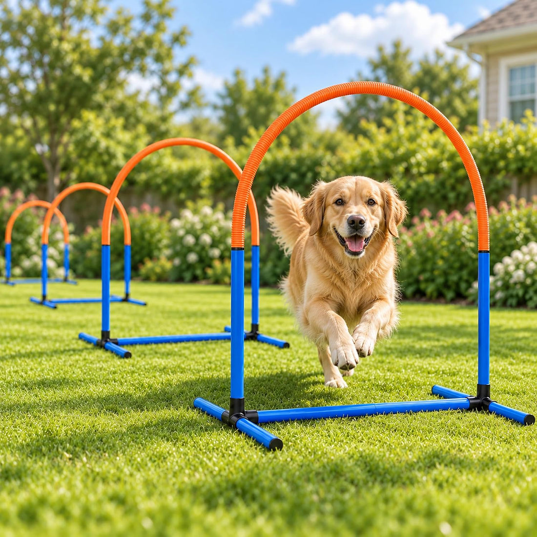 Dog Agility Arch Tunnel Set with Hoops & Ground Stakes