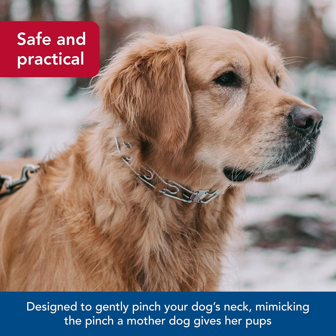 Herm SPRENGER Ultra-Plus Prong Dog Training Collar