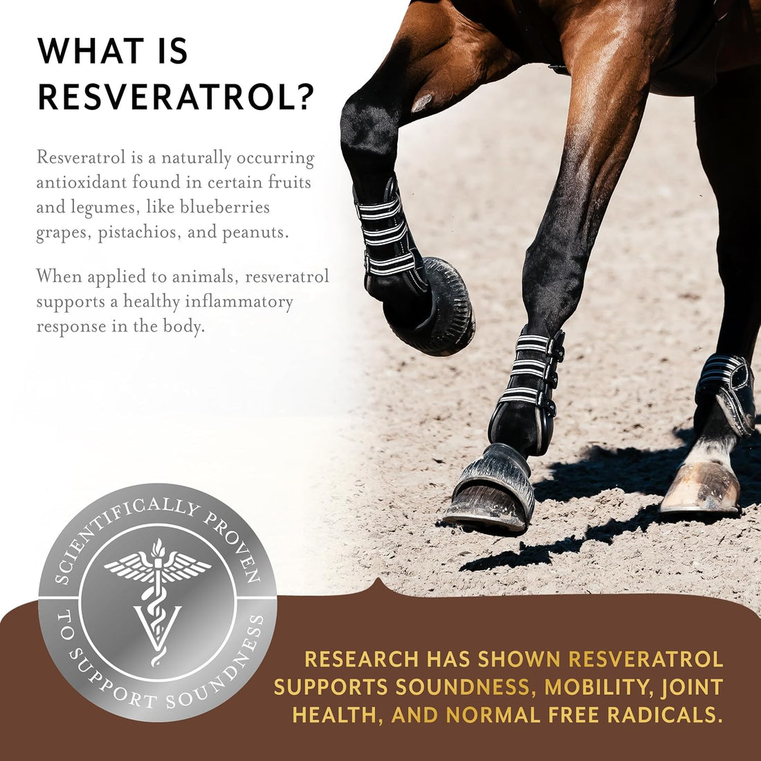Equithrive Original Joint Pellets Horse Supplement, 1.65 lbs