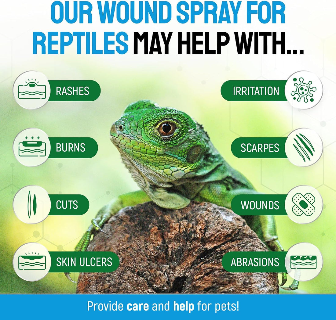 SILVER GRADE Reptile Antibiotics Mouth Rot Spray for Snakes & Lizards