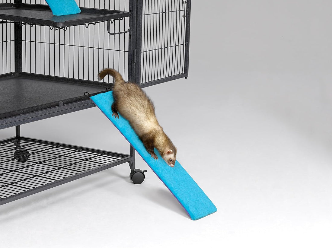 MidWest Homes for Pets Ferret Nation Exit Ramp & Cover for Ferret