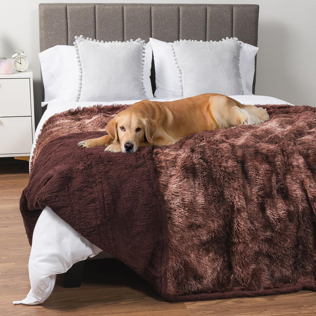 PetAmi Waterproof Dog Blanket for Couch Protector Throw, 29x40