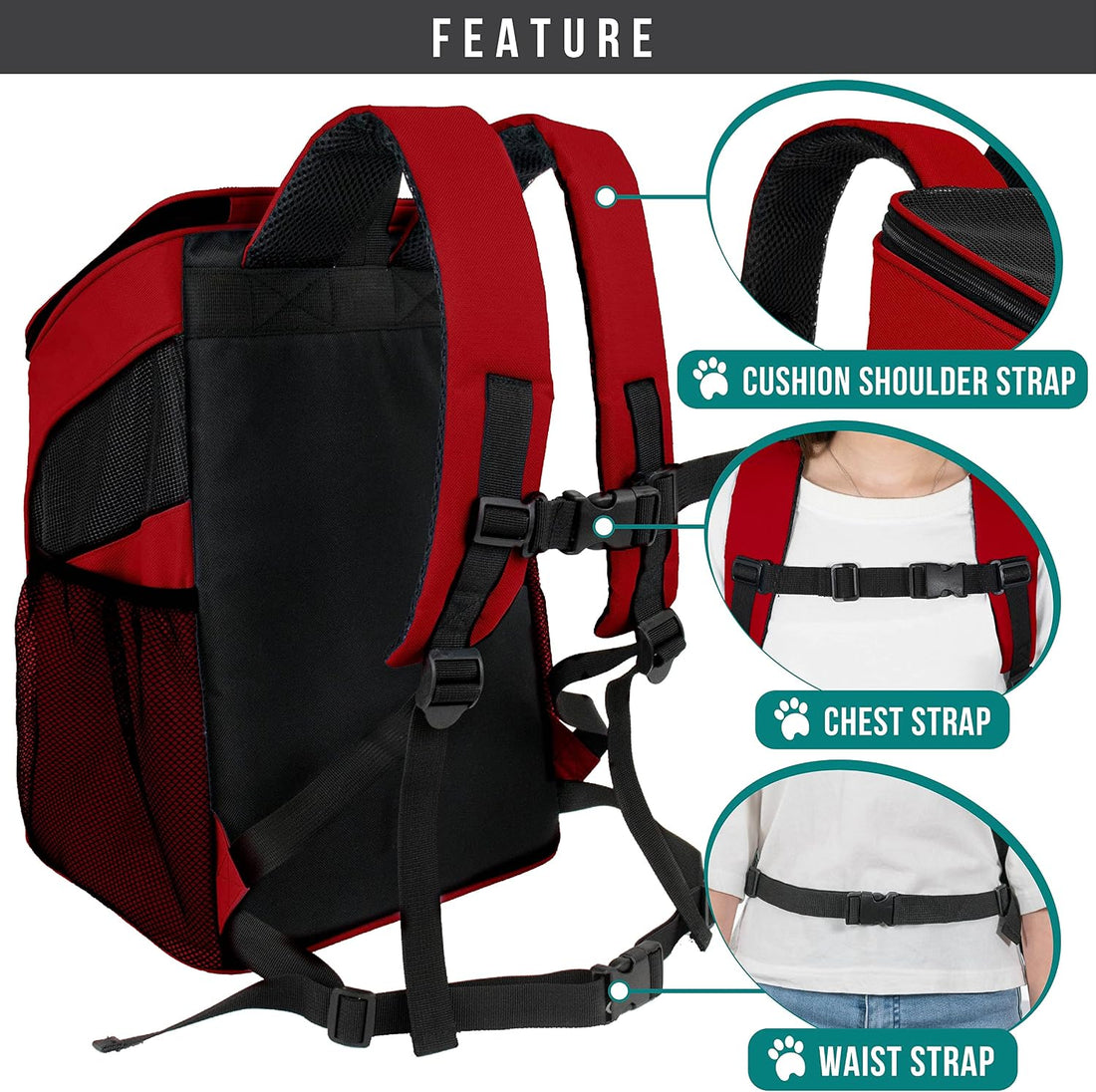 PetAmi Cat Backpack Carrier for Small Dogs and Large Cats